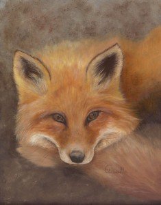 The Fox low res